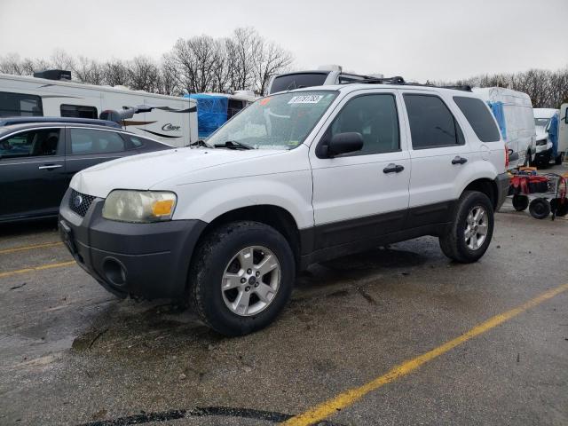 2006 FORD ESCAPE XLT 2006 image