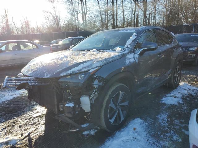 Image 1 of 2020 LEXUS NX 300H 2020 with VIN JTJGJRDZ6L2139516