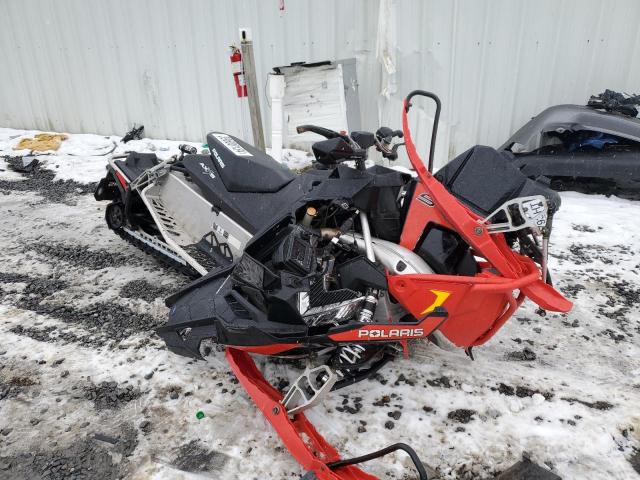 2016 POLA SWITCHBACK 2016 image