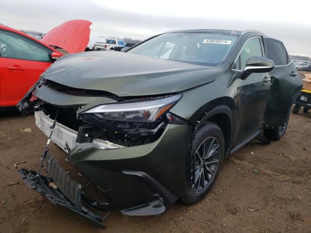 2024 LEXUS NX 350H BASE 2024 image