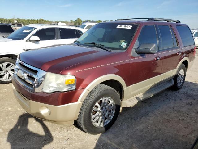 Image 1 of 2010 FORD EXPEDITION EDDIE BAUER 2010 with VIN 1FMJU1H50AEA00384