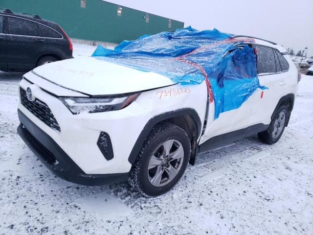 Image 1 of 2022 TOYOTA RAV4 XLE 2022 with VIN 2T3R1RFV5NC319880