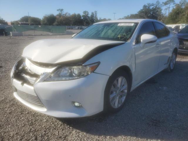 Obraz 2014 LEXUS ES 300H 2014