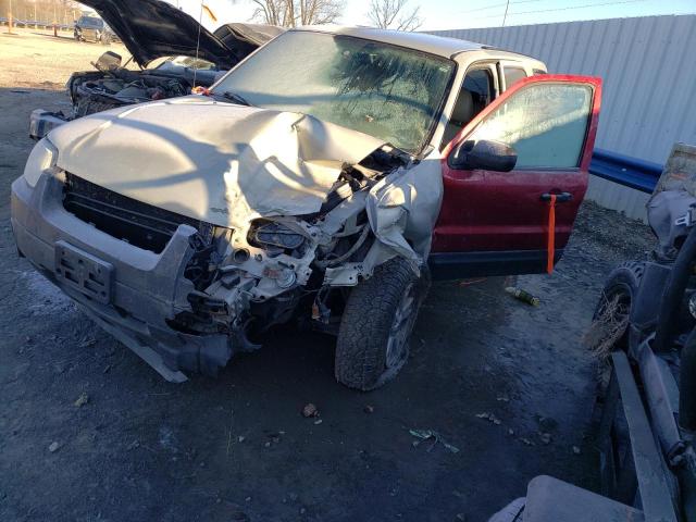 2005 FORD ESCAPE XLT 2005 image