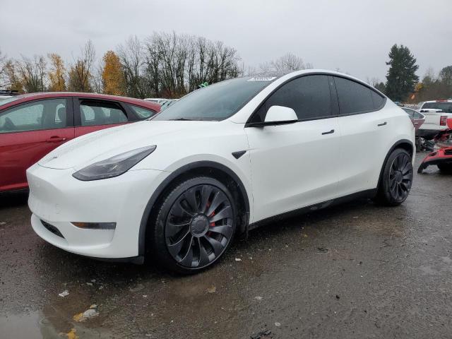 2022 TESLA MODEL Y  2022 image