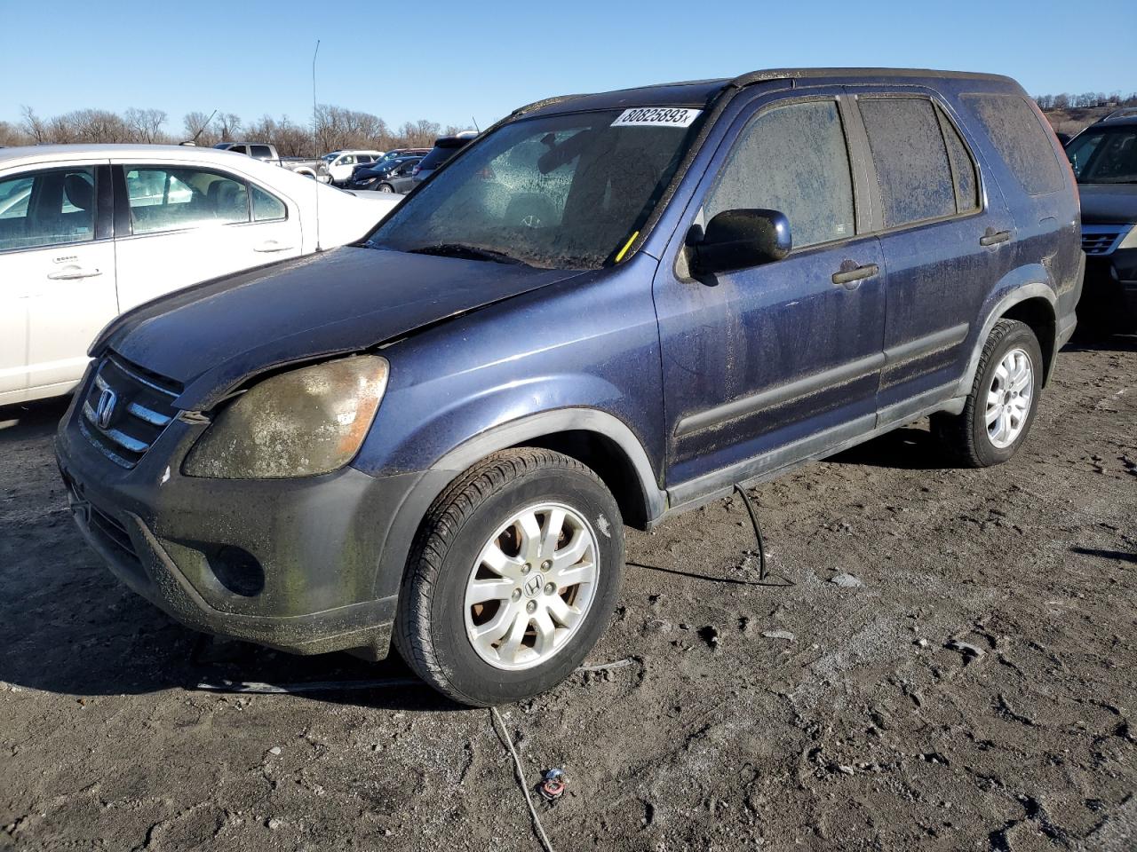 2006 HONDA CR-V EX 2006 image