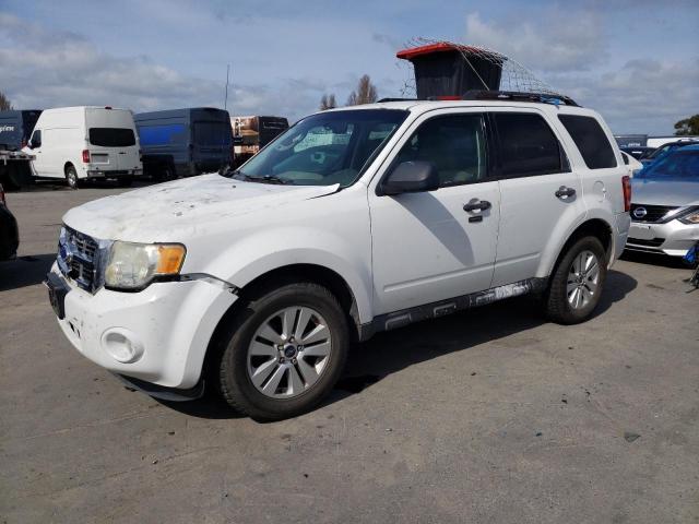 Image 1 of 2011 FORD ESCAPE XLT 2011 with VIN 1FMCU9D79BKC11455