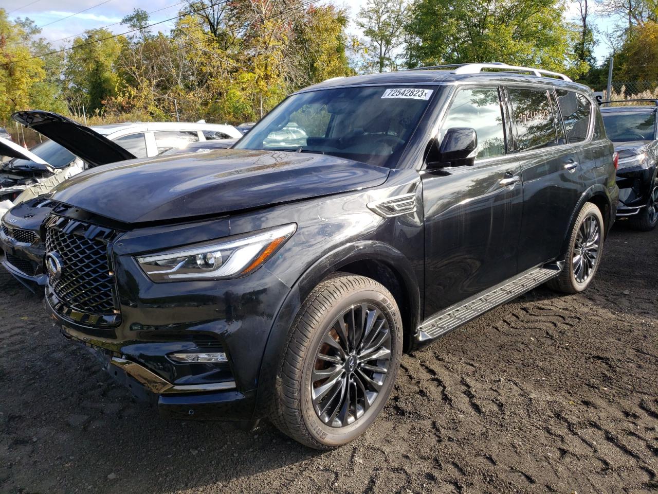 2023 INFINITI QX80 LUXE 2023 image