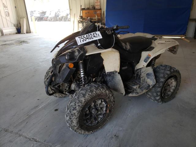 Image 2 of 2022 CAN-AM RENEGADE 850 2022 with VIN 3JBMGAU42NJ000185