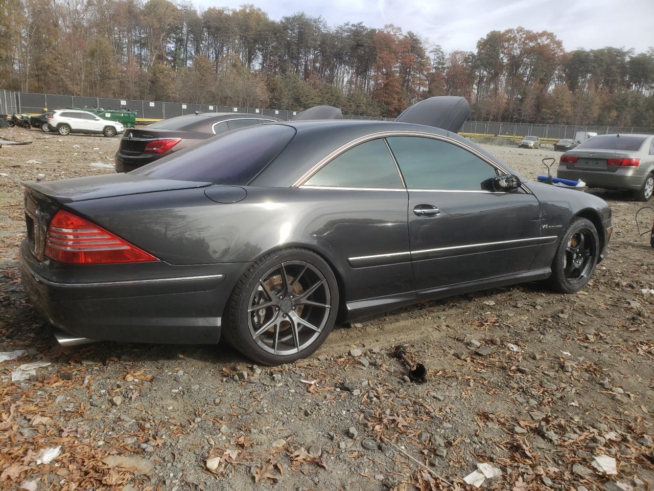 Изображение 3 2004 MERCEDES-BENZ CL 55 AMG 2004 с VIN WDBPJ74J04A039838