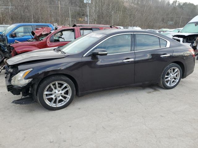 2010 NISSAN MAXIMA S 2010 image