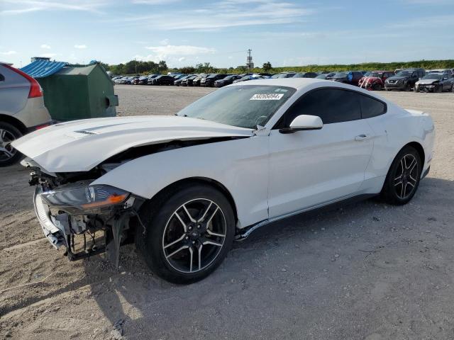 2019 FORD MUSTANG  2019 image