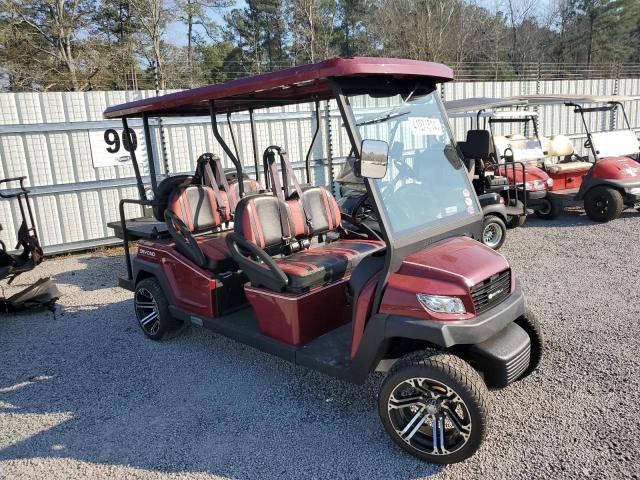 Obraz 2021 BINT GOLFCART 2021