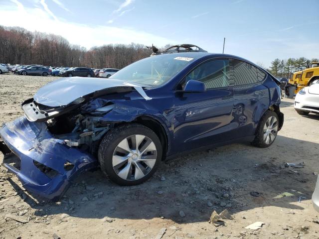2021 TESLA MODEL Y  2021 image