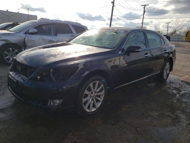 2012 LEXUS LS 460L 2012 image
