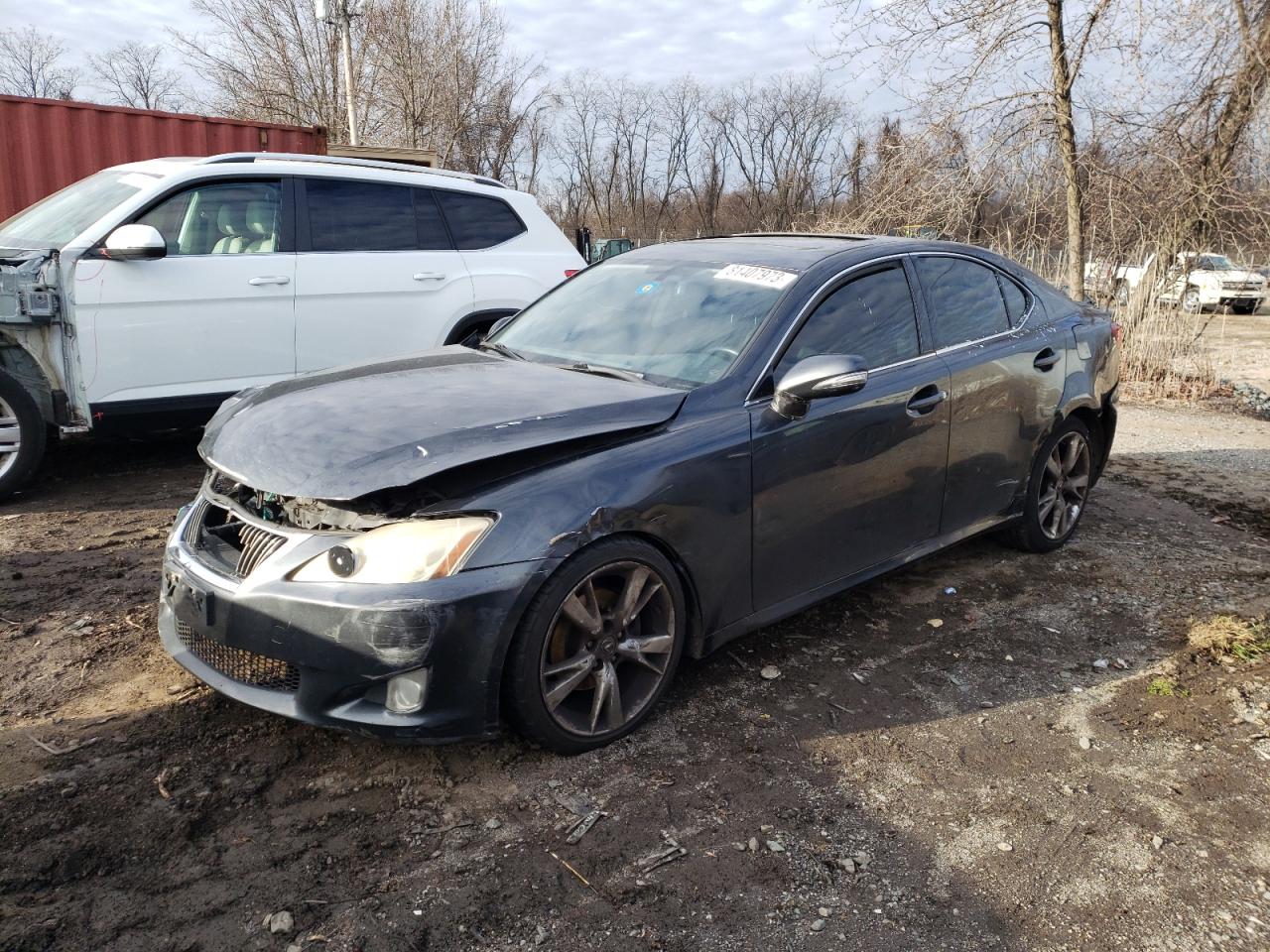 2009 LEXUS IS 250 2009 image