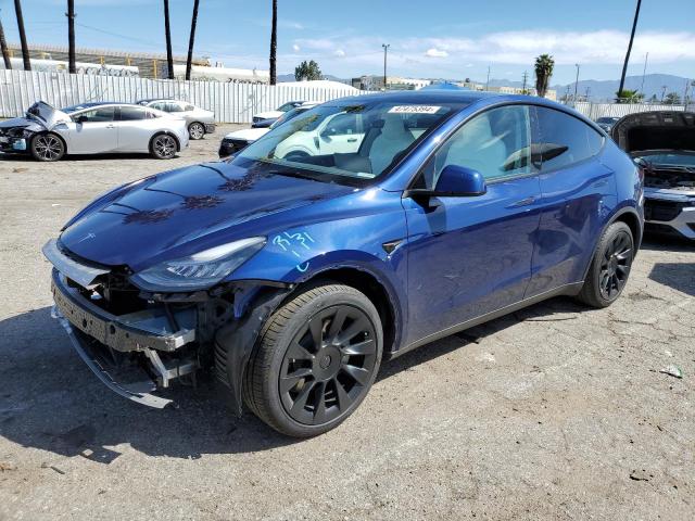 2021 TESLA MODEL Y  2021 image