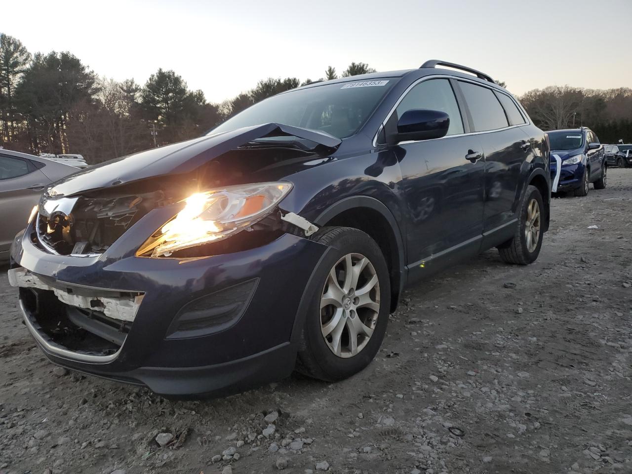 Изображение 1 2011 MAZDA CX-9  2011 с VIN JM3TB3CV9B0307225