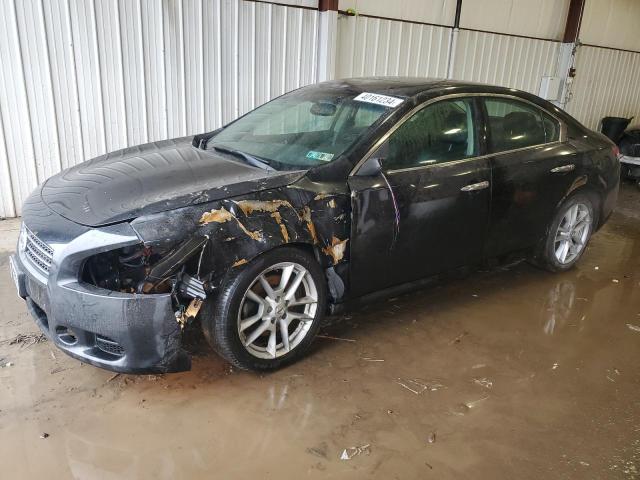 Obraz 2010 NISSAN MAXIMA S 2010