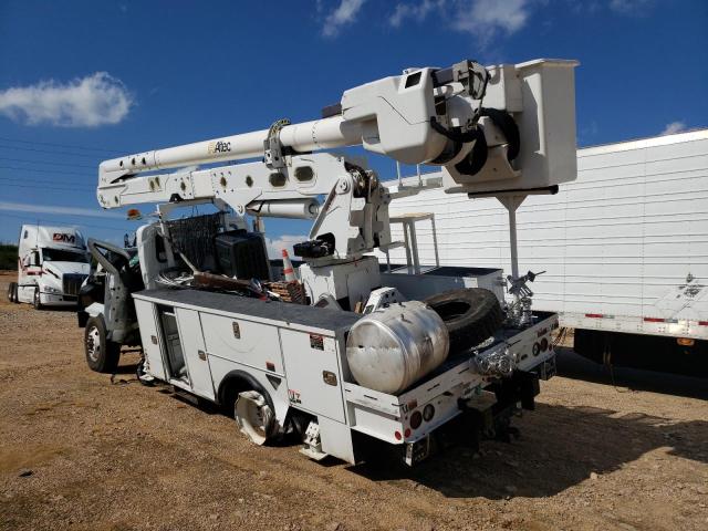 Изображение 3 2021 INTERNATIONAL HV507  2021 с VIN 3HAEEMMN3ML195536