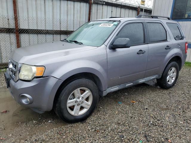 Image 1 of 2008 FORD ESCAPE HEV 2008 with VIN 1FMCU49H38KC91364