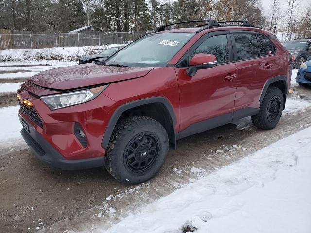Image 1 of Toyota Rav4 Xle 2020 with VIN 2T3R1RFV1LC103683