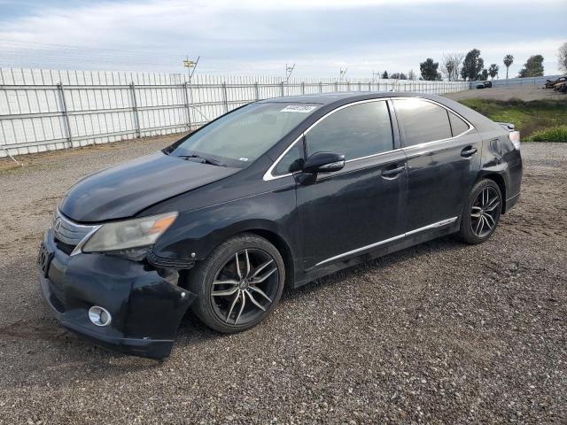 Obraz 2010 LEXUS HS 250H 2010