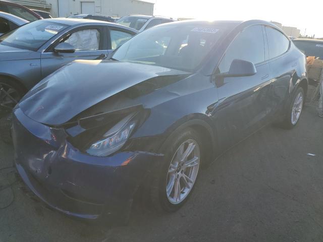 2021 TESLA MODEL Y  2021 image