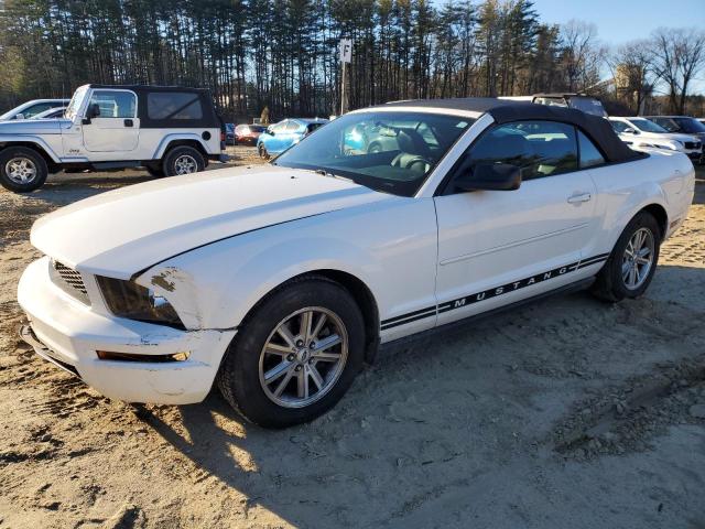 Obraz 1 z 2006 Ford Mustang 2006 z VIN 1ZVFT84N165226076