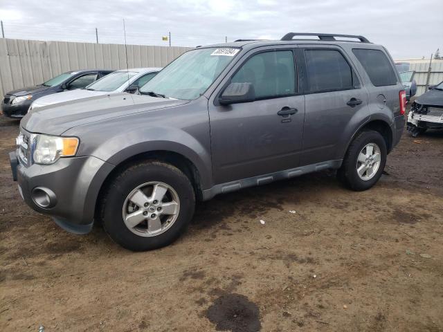 Image 1 of 2010 FORD ESCAPE XLT 2010 with VIN 1FMCU0D76AKB11453