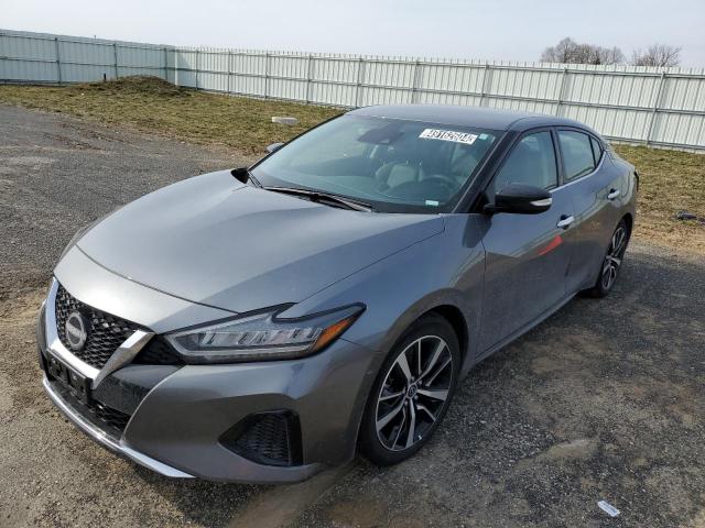2023 NISSAN MAXIMA SV 2023 image