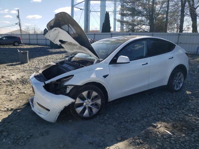 2023 TESLA MODEL Y  2023 image