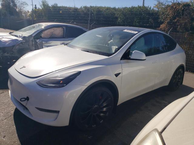 2023 TESLA MODEL Y  2023 image