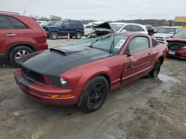 2006 FORD MUSTANG  2006 image
