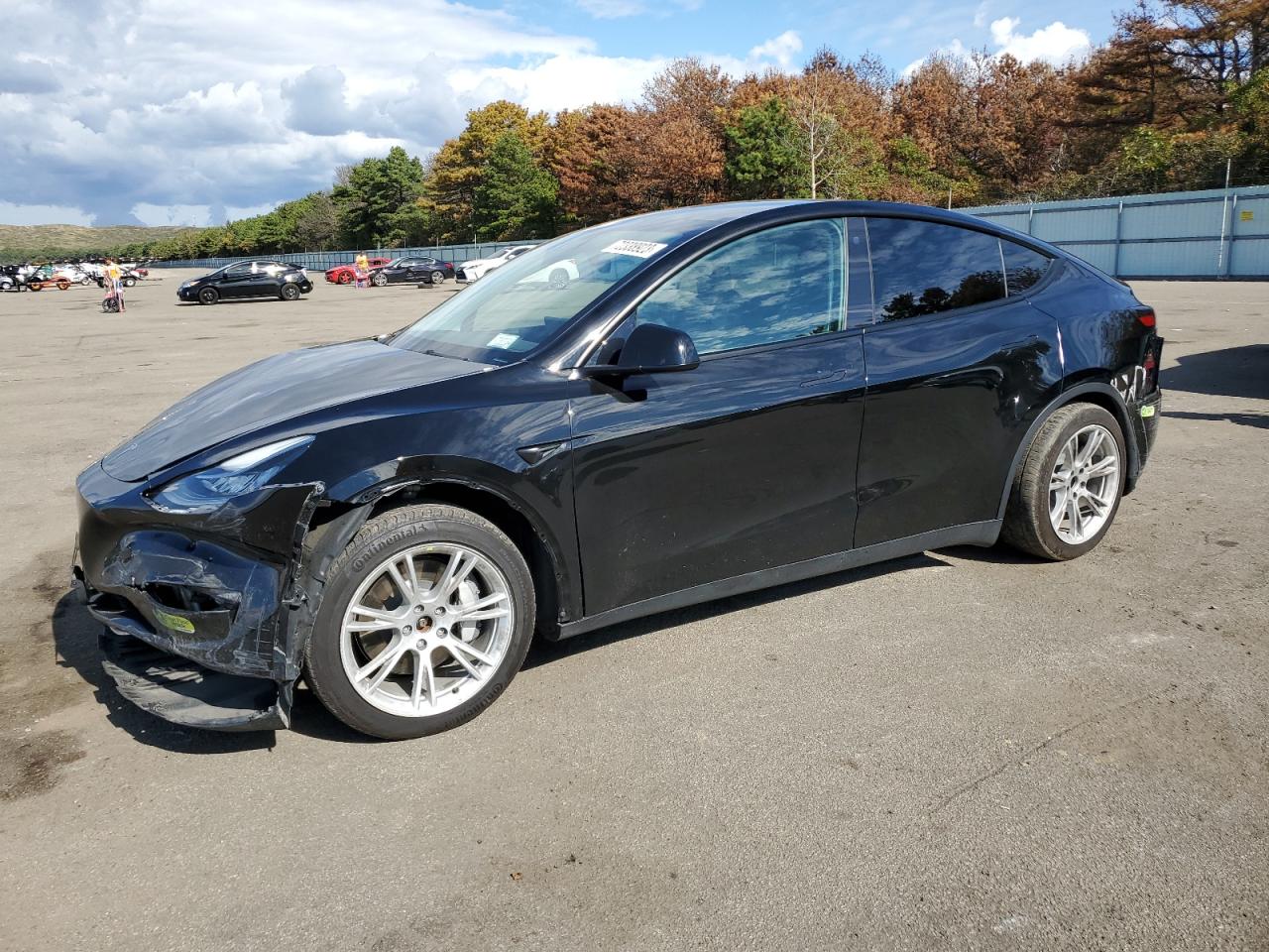 Obraz 2022 TESLA MODEL Y  2022