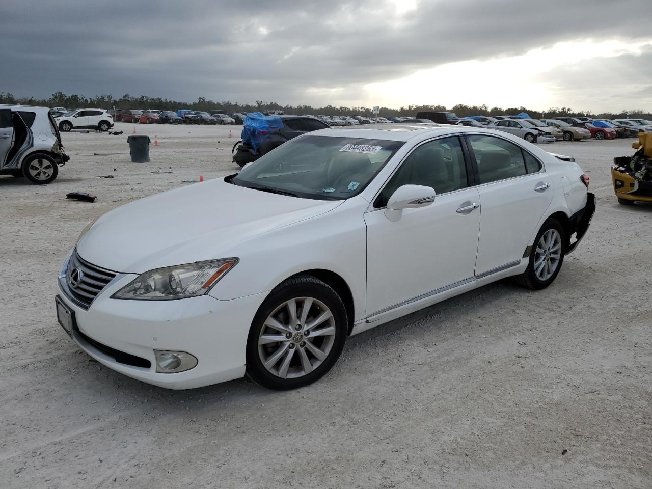 Obraz 2011 LEXUS ES 350 2011