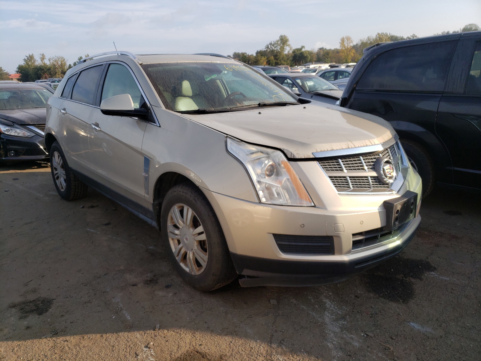 2011 CADILLAC SRX LUXURY COLLECTION 2011 image