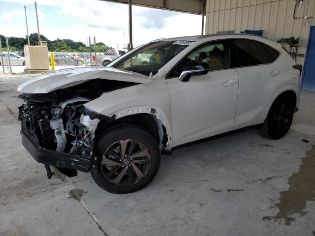 2020 LEXUS NX 300 2020 image