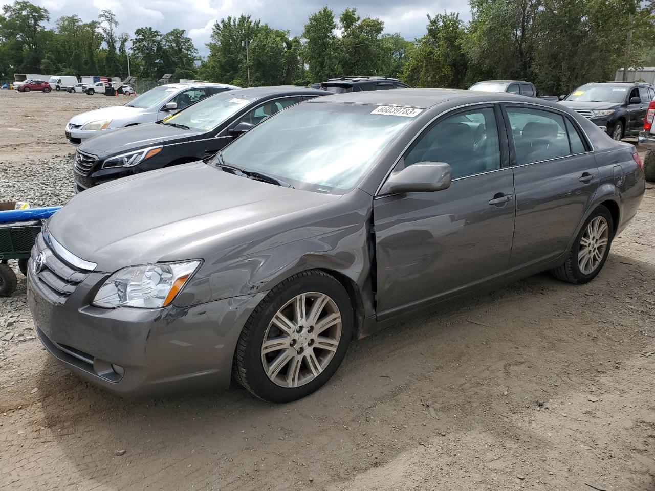 Obraz 2006 TOYOTA AVALON XL 2006
