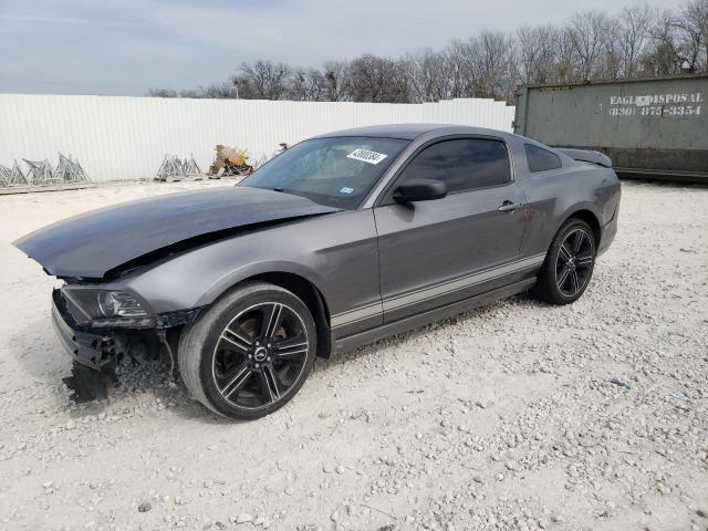2014 FORD MUSTANG  2014 image