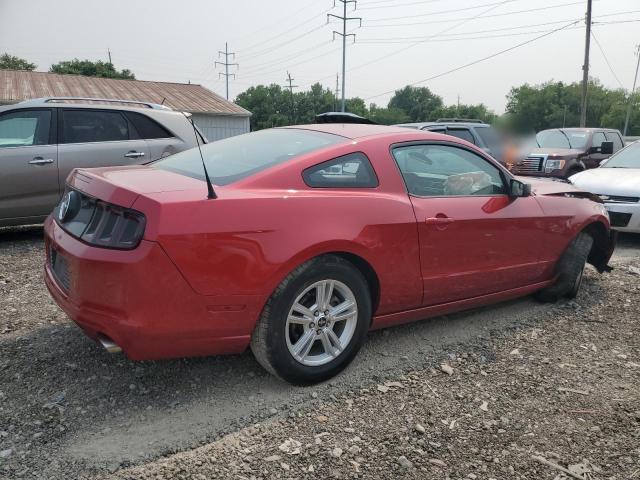 Obraz 3 z 2013 FORD MUSTANG  2013 z VIN 1ZVBP8AMXD5278642