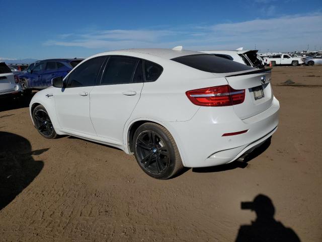 Obraz 2 z 2014 BMW X6 M 2014 z VIN 5YMGZ0C57E0C40580