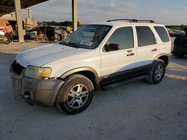 Image 1 of 2005 FORD ESCAPE XLT 2005 with VIN 1FMCU03125KB67585