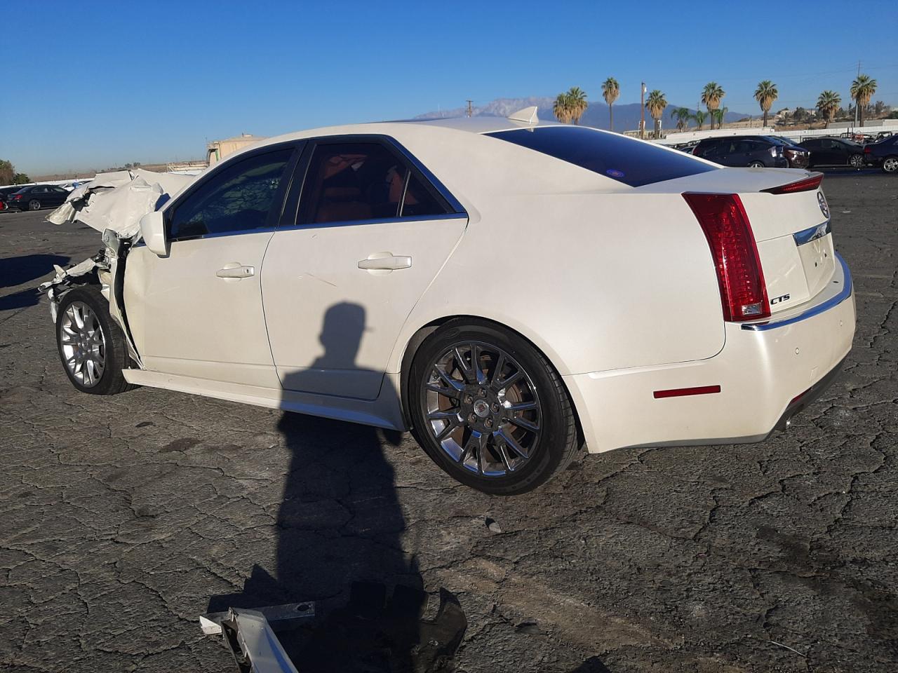 Image 2 of 2010 CADILLAC CTS PREMIUM COLLECTION 2010 with VIN 1G6DP5EV8A0106571