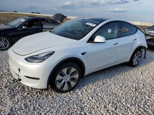 2023 TESLA MODEL Y  2023 image