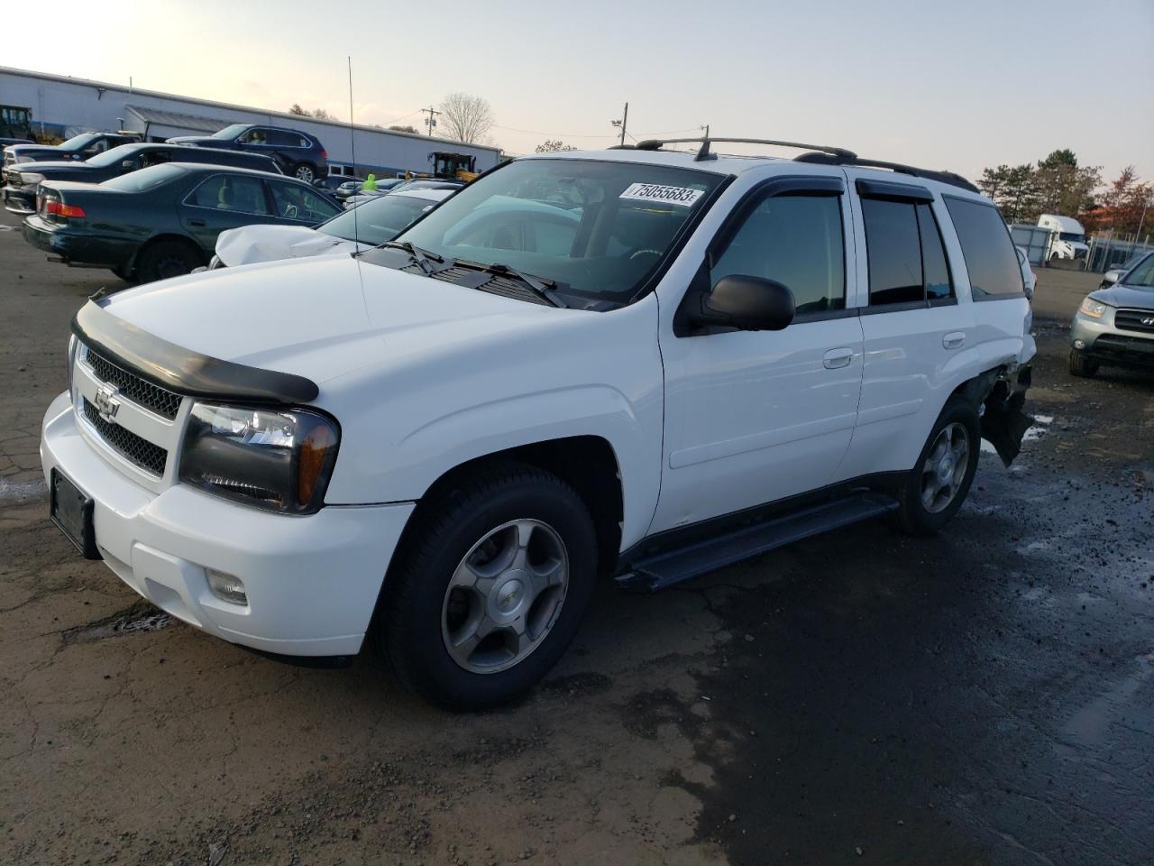 Image 1 of 2008 CHEVROLET TRAILBLAZER LS 2008 with VIN 1GNDT13S682225400