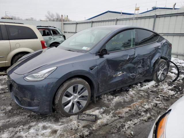 2023 TESLA MODEL Y  2023 image