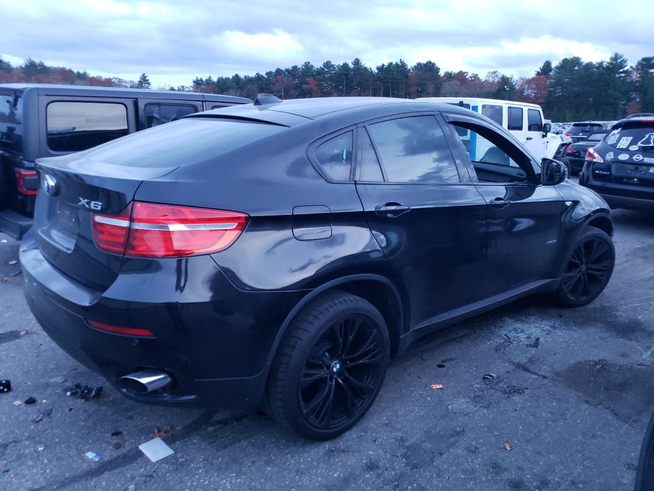 Obraz 3 z 2013 BMW X6 XDRIVE35I 2013 z VIN 5UXFG2C56DL783983