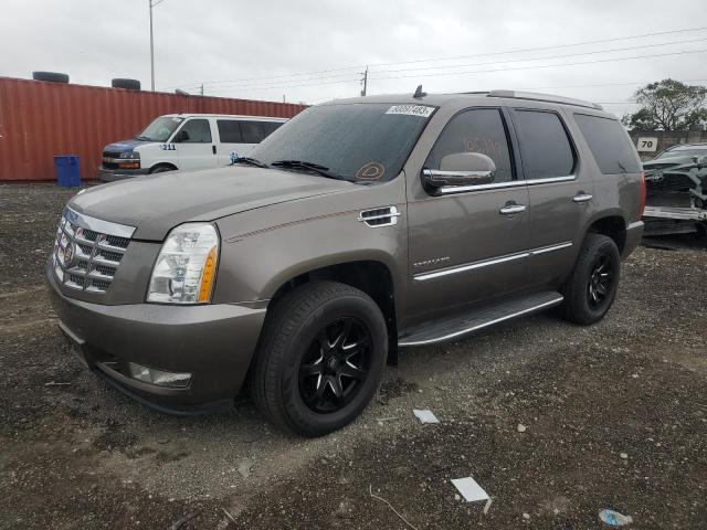 Obraz 2012 CADILLAC ESCALADE LUXURY 2012