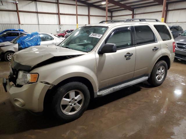 2010 FORD ESCAPE XLT 2010 image